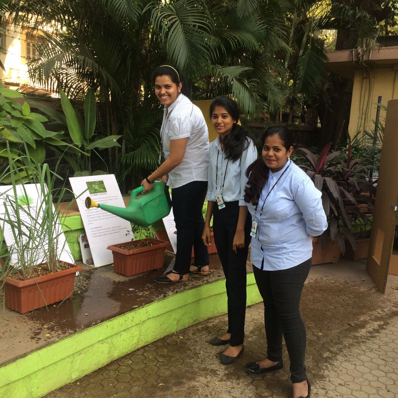 WeSchool sets up Agri-lab in the midst of Urban Mumbai