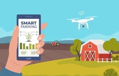 PGDM in Rural Management vs. Agribusiness Management