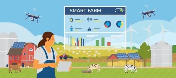 The Perks of Pursuing a PGDM in Rural Management in Mumbai